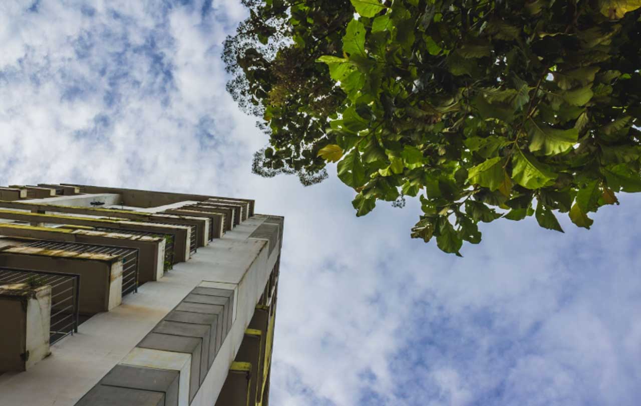 JCVA eyes a strong 2025 with Tech and Sustainability